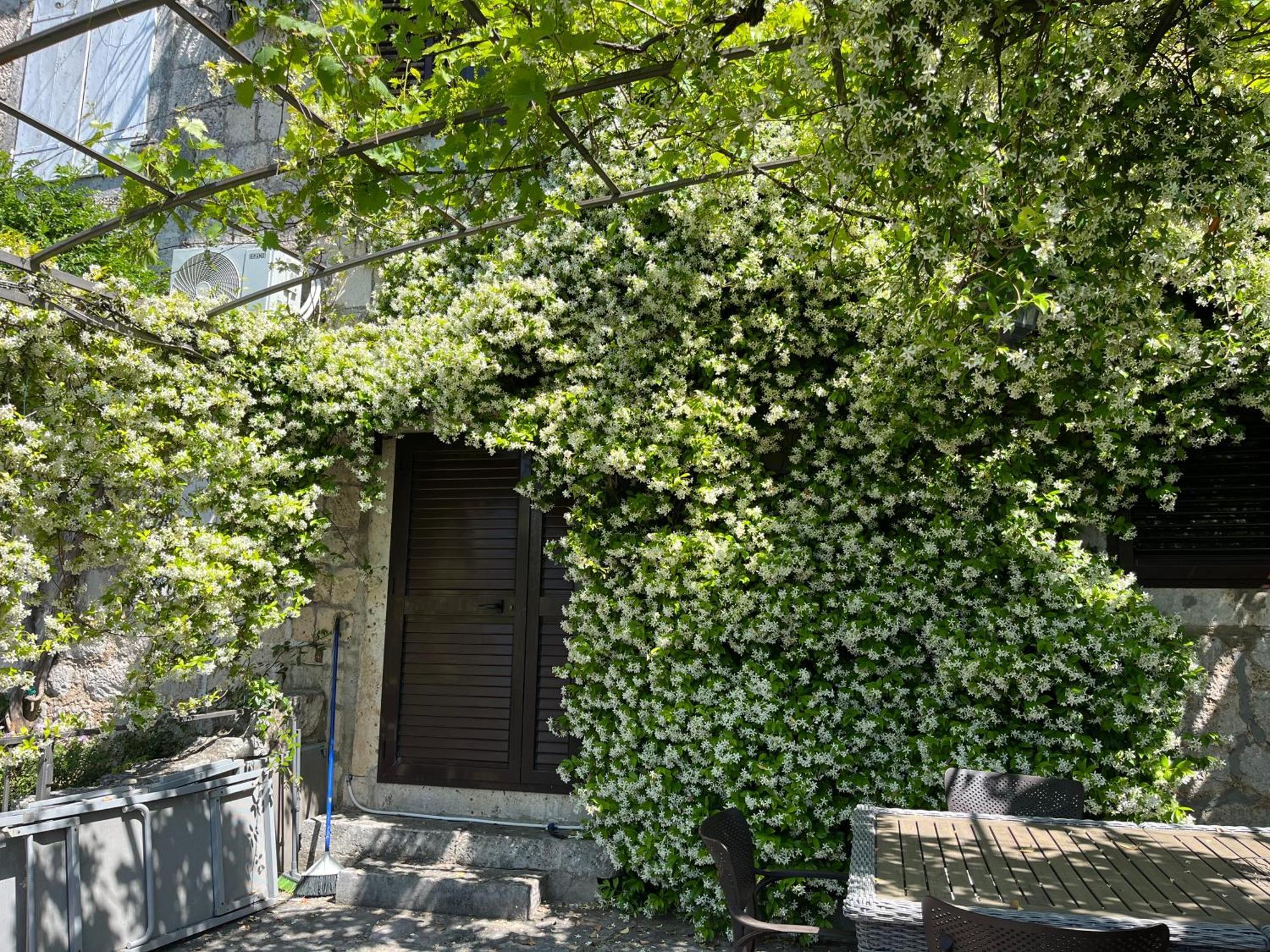 Be happy in Perast Apartment Bagian luar foto