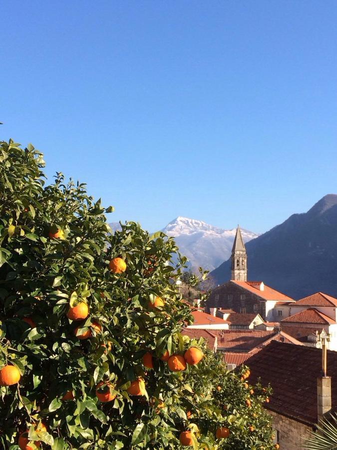 Be happy in Perast Apartment Bagian luar foto